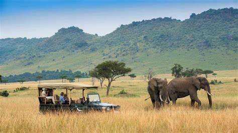 Maasai Mara Group Joining Safari | 3 Days Package